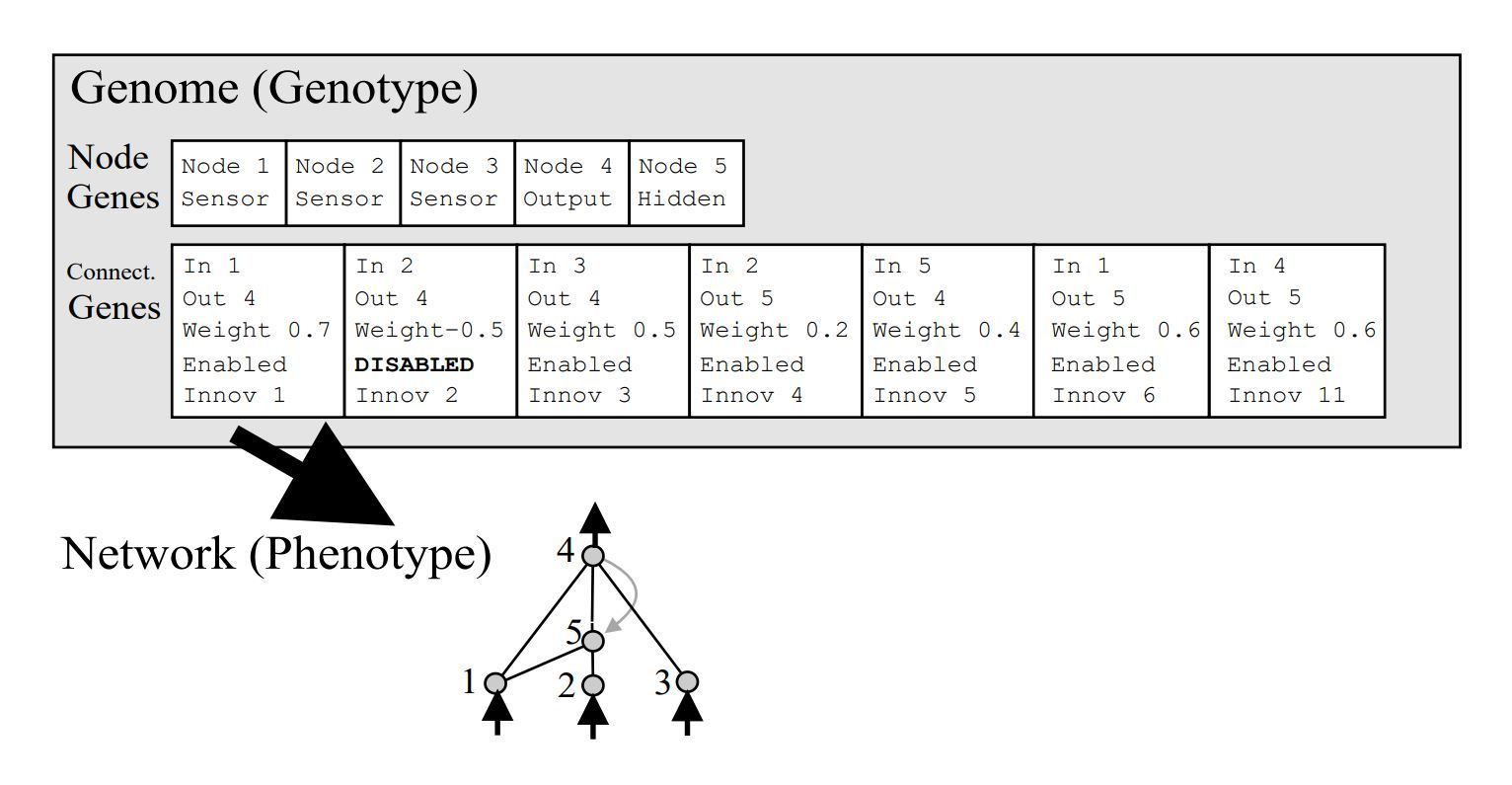 Neuroevolution of Augmenting Topologies